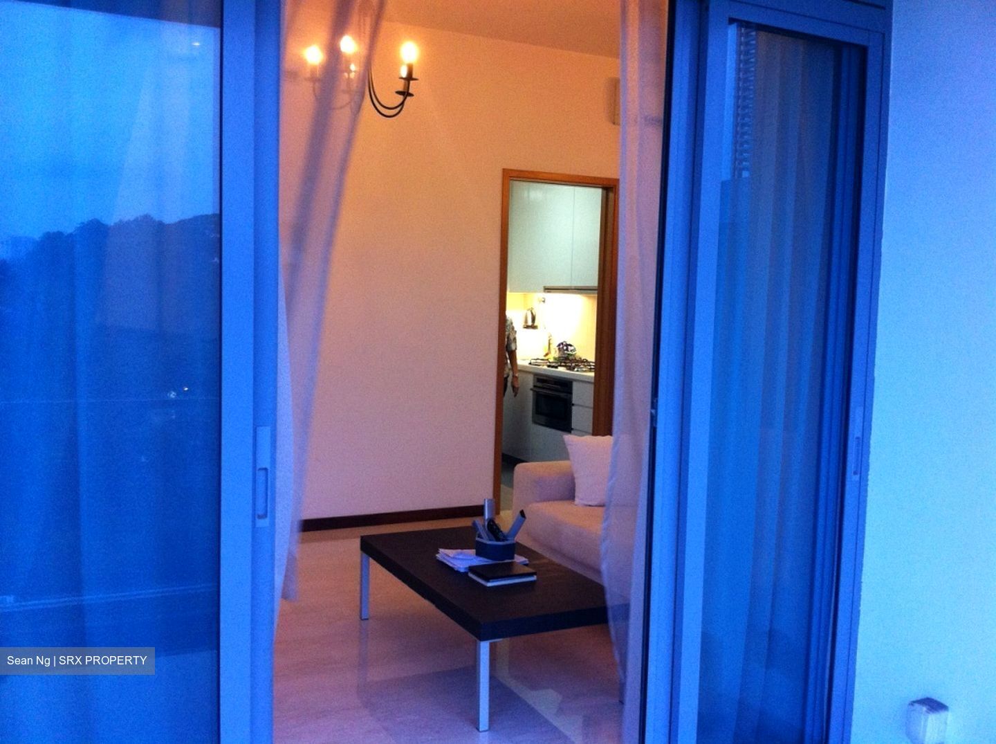 Viz At Holland (D10), Condominium #358877211